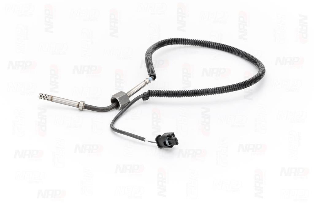 Palpeur, température des gaz NAP carPARTS CTS10174