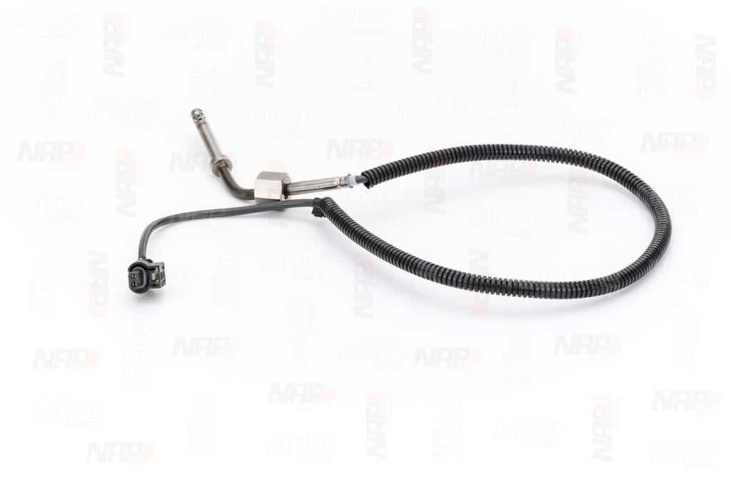 Palpeur, température des gaz NAP carPARTS CTS10174