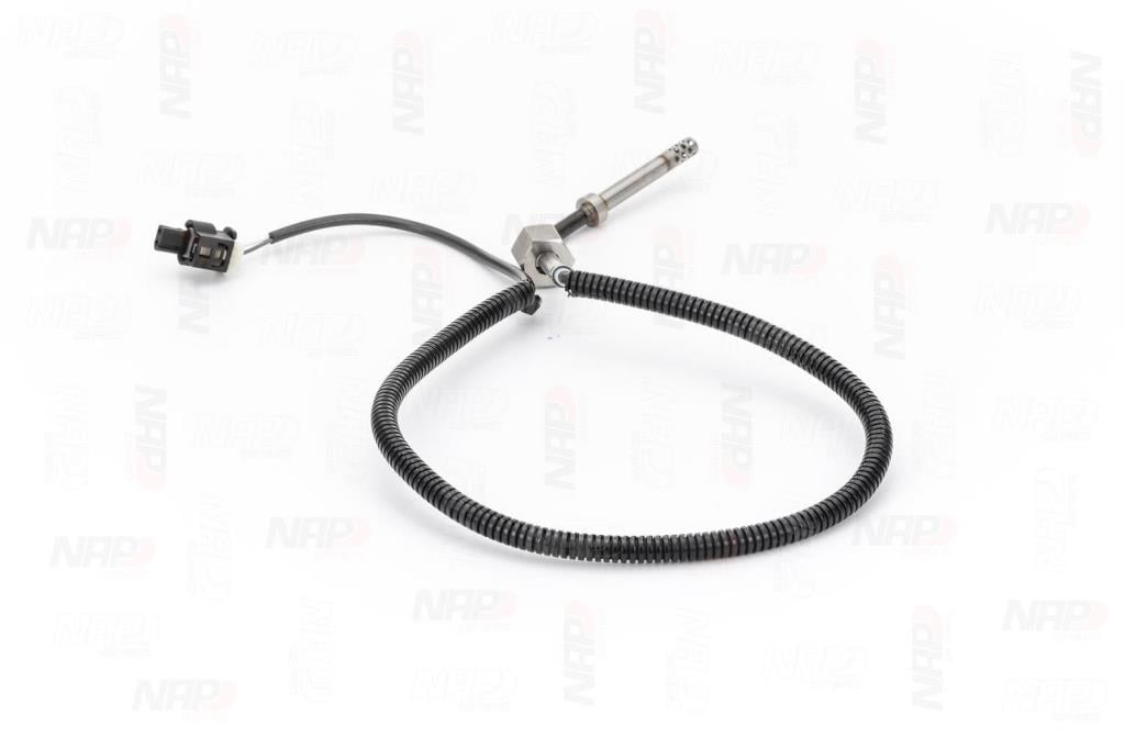 Palpeur, température des gaz NAP carPARTS CTS10174