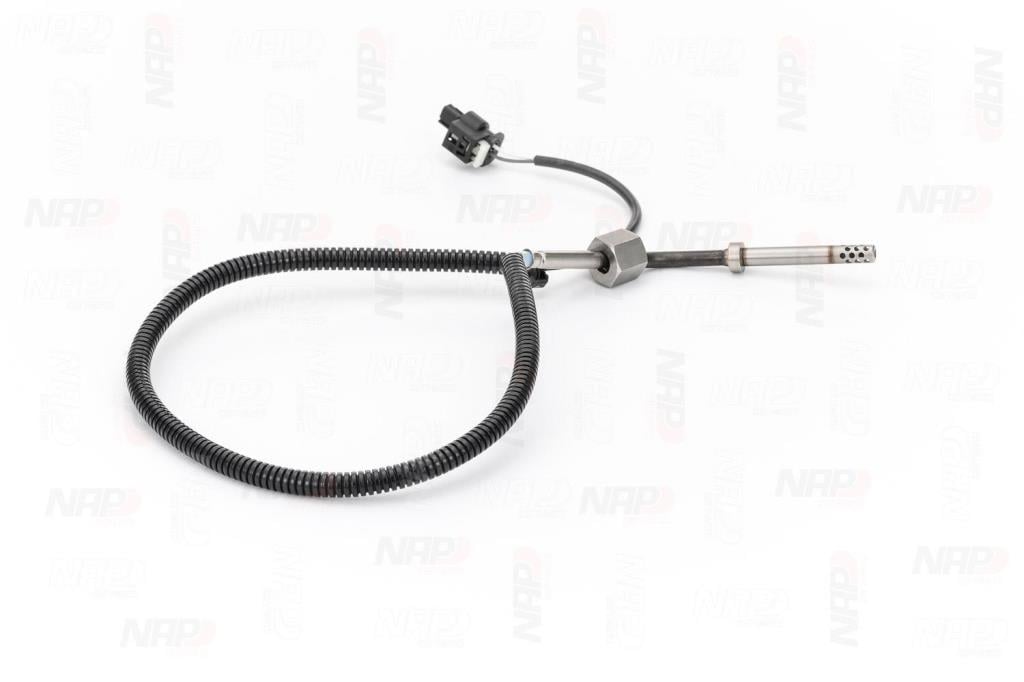 Palpeur, température des gaz NAP carPARTS CTS10174