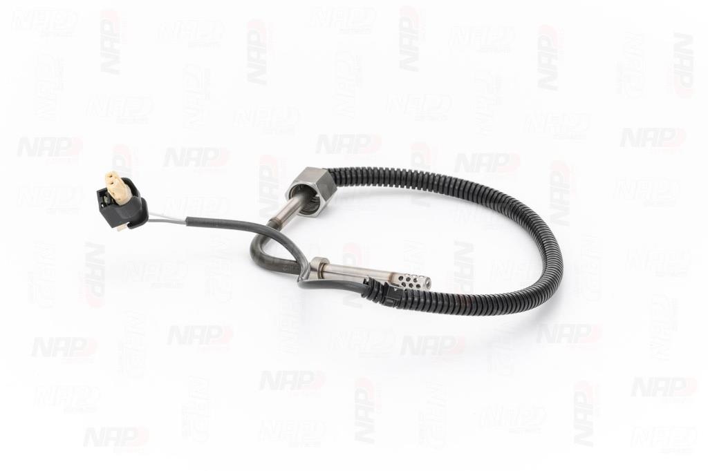 Palpeur, température des gaz NAP carPARTS CTS10179