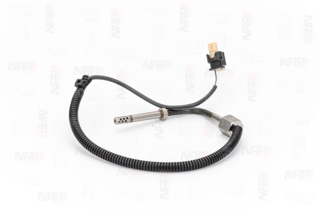 Palpeur, température des gaz NAP carPARTS CTS10179