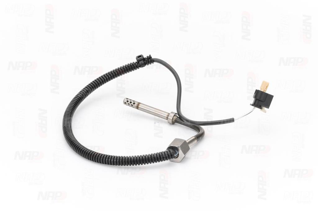 Palpeur, température des gaz NAP carPARTS CTS10179