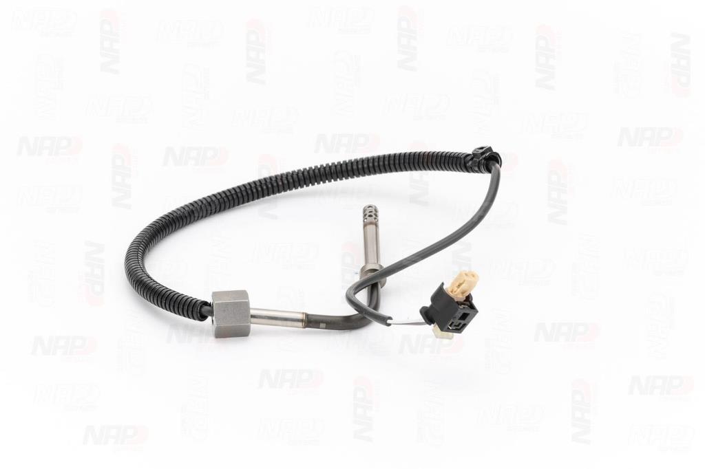 Palpeur, température des gaz NAP carPARTS CTS10179