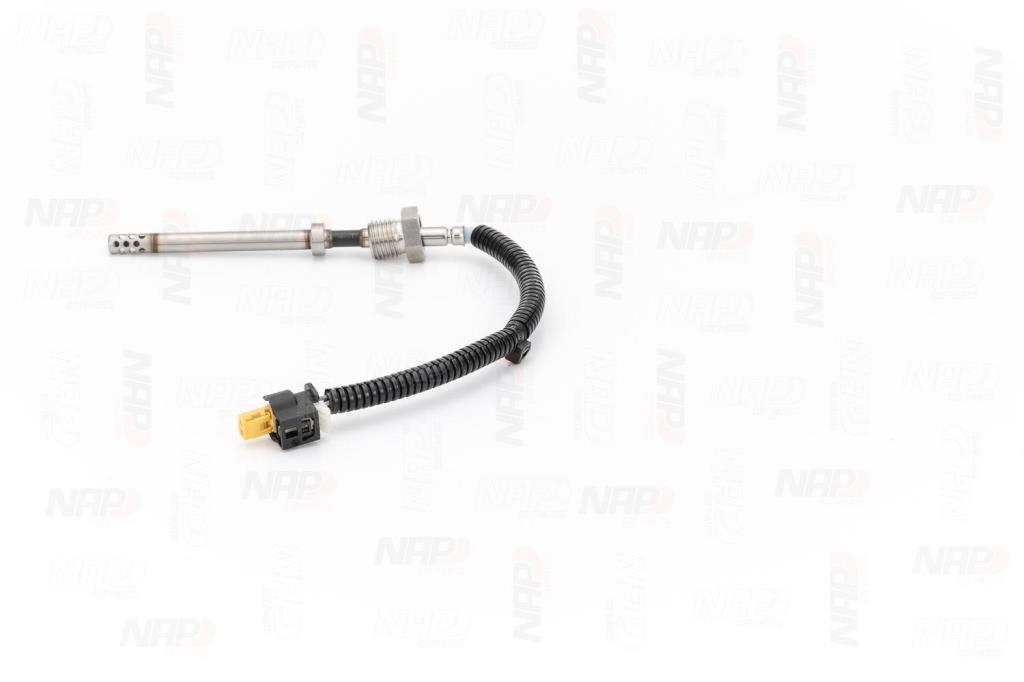 Palpeur, température des gaz NAP carPARTS CTS10180
