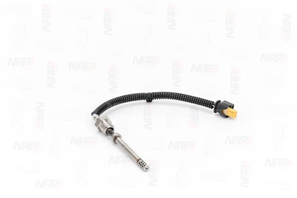 Palpeur, température des gaz NAP carPARTS CTS10180