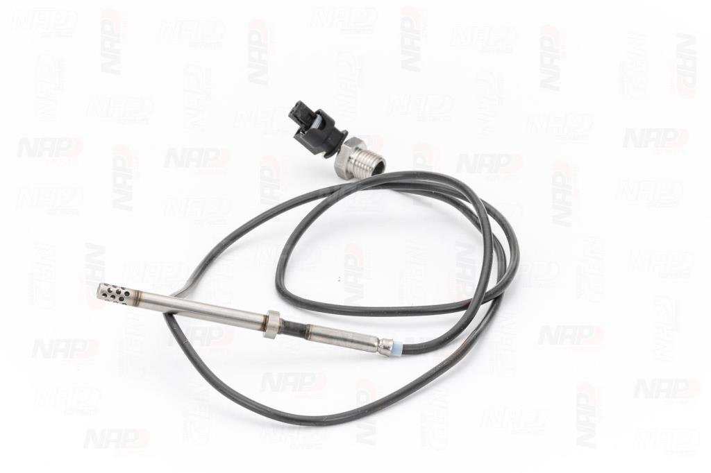 Palpeur, température des gaz NAP carPARTS CTS10245