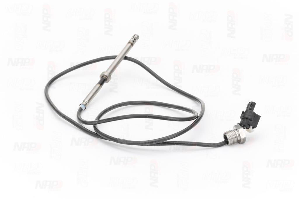 Palpeur, température des gaz NAP carPARTS CTS10245