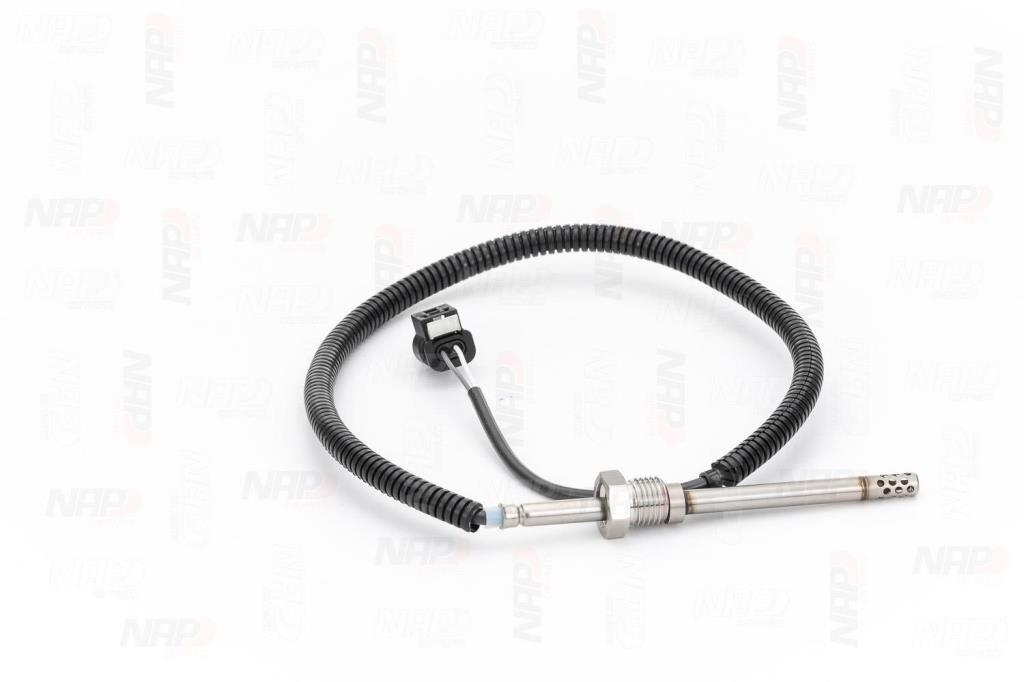 Palpeur, température des gaz NAP carPARTS CTS10256