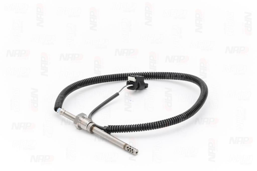 Palpeur, température des gaz NAP carPARTS CTS10256