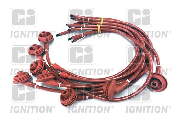 QUINTON HAZELL Bobina Accensione XIC8213: Compatibile Con Audi A3, TT E VW Golf IV - 4