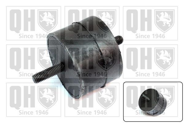 Support moteur (Silent bloc moteur) QUINTON HAZELL EM1575