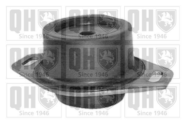 Support moteur (Silent bloc moteur) QUINTON HAZELL EM1897