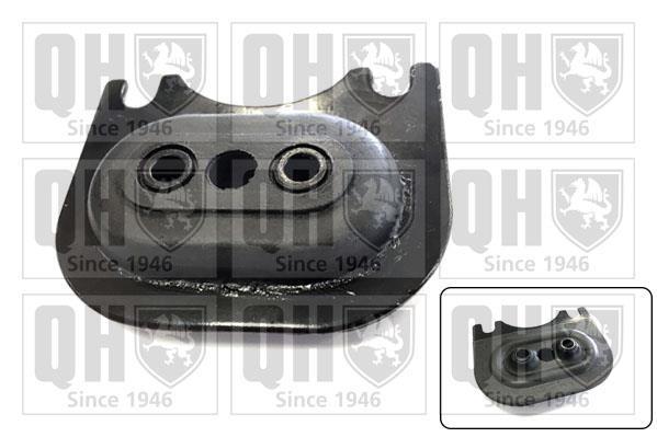 Support moteur (Silent bloc moteur) QUINTON HAZELL ref. EM2000