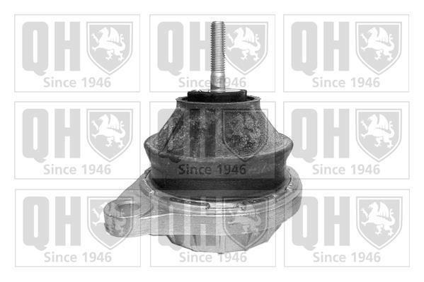 Support moteur (Silent bloc moteur) QUINTON HAZELL EM2446