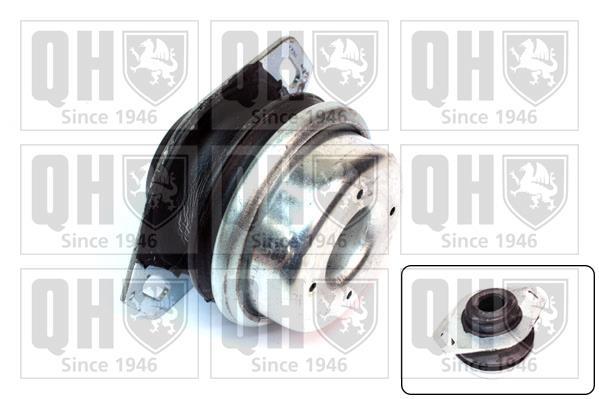 Support moteur (Silent bloc moteur) QUINTON HAZELL EM2518
