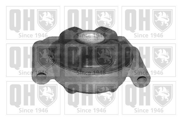 Support moteur (Silent bloc moteur) QUINTON HAZELL EM3094