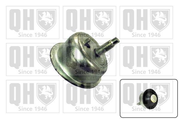 Suporte do motor QUINTON HAZELL EM4143