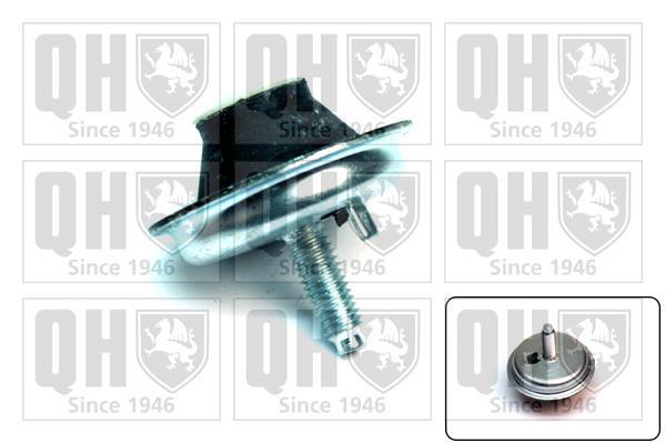 Support moteur (Silent bloc moteur) QUINTON HAZELL EM4144