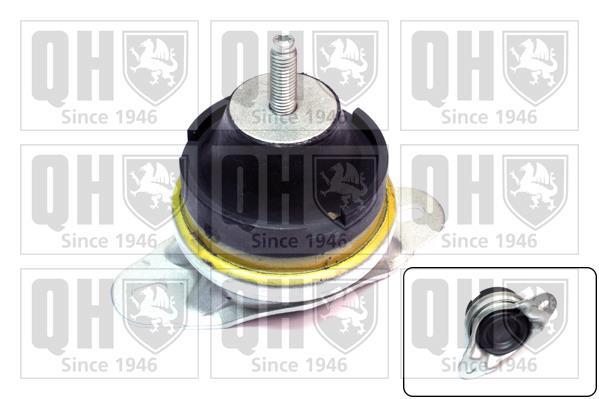 Support moteur (Silent bloc moteur) QUINTON HAZELL EM4219