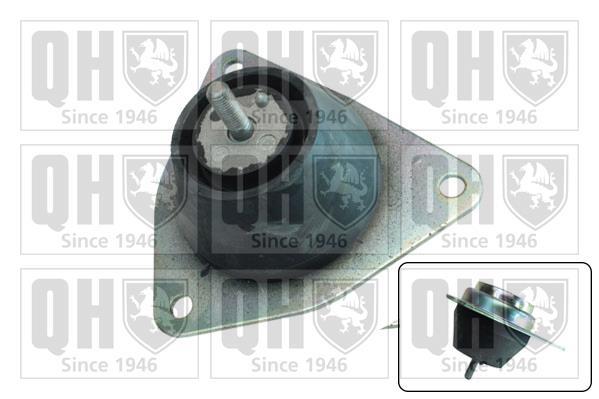 Support moteur (Silent bloc moteur) QUINTON HAZELL EM4393