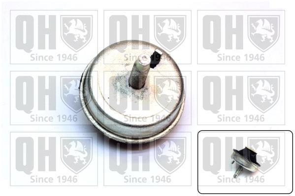 Support moteur (Silent bloc moteur) QUINTON HAZELL EM4480