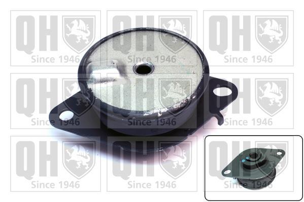 Support moteur (Silent bloc moteur) QUINTON HAZELL EM4690