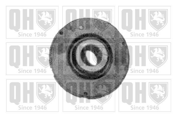 Silent bloc de suspension QUINTON HAZELL ref. EMS2447