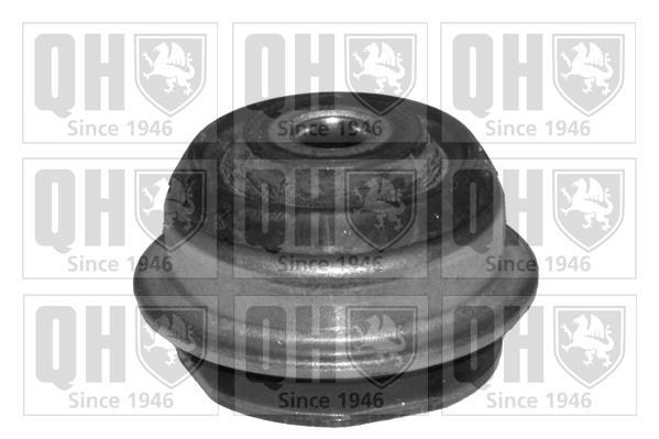 Silent bloc de suspension QUINTON HAZELL ref. EMS4091