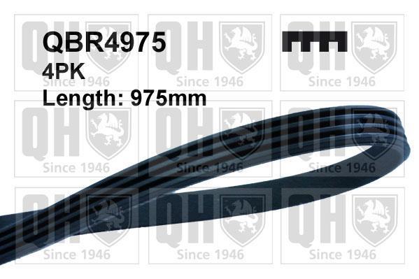 Correia trapezoidal estriada QUINTON HAZELL ref. QBR4975