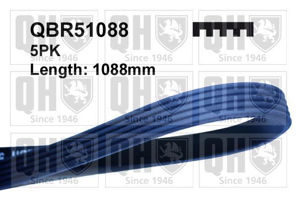 Correia trapezoidal estriada QUINTON HAZELL ref. QBR51088