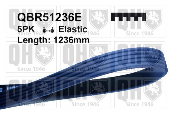 Correia trapezoidal estriada QUINTON HAZELL ref. QBR51236E