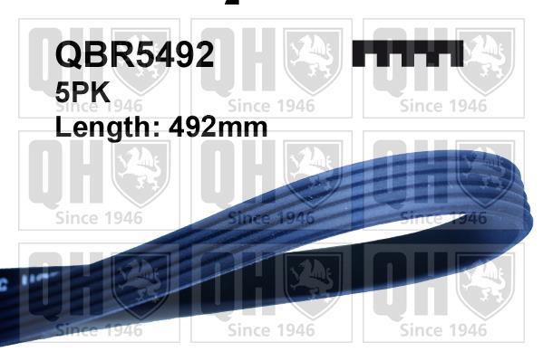Correia trapezoidal estriada QUINTON HAZELL ref. QBR5492