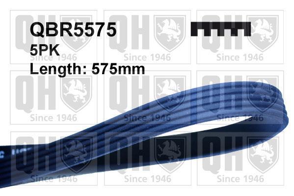 Correia trapezoidal estriada QUINTON HAZELL ref. QBR5575