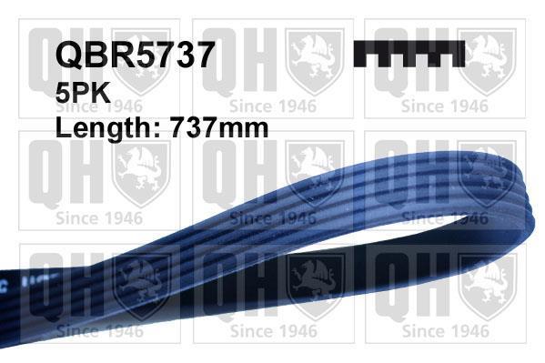 Correia trapezoidal estriada QUINTON HAZELL ref. QBR5737