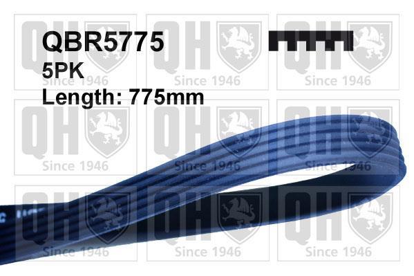 Correia trapezoidal estriada QUINTON HAZELL ref. QBR5775