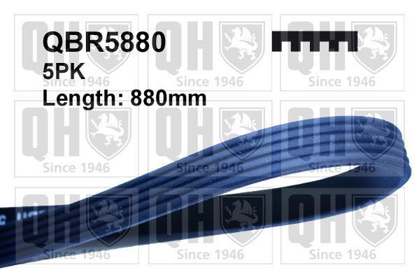 Correia trapezoidal estriada QUINTON HAZELL ref. QBR5880