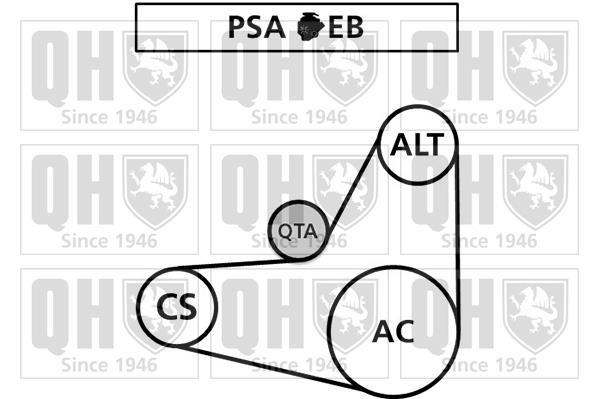 Correia trapezoidal estriada QUINTON HAZELL ref. QBR61038