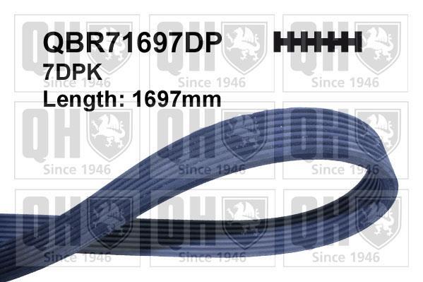 Correia trapezoidal estriada QUINTON HAZELL ref. QBR71697DP