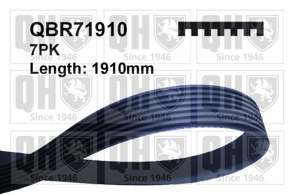 Correia trapezoidal estriada QUINTON HAZELL ref. QBR71910