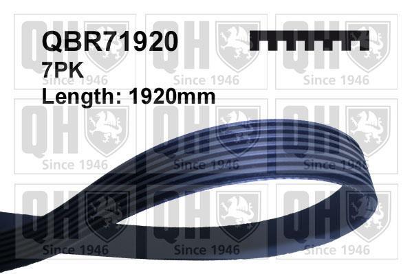 Correia trapezoidal estriada QUINTON HAZELL ref. QBR71920