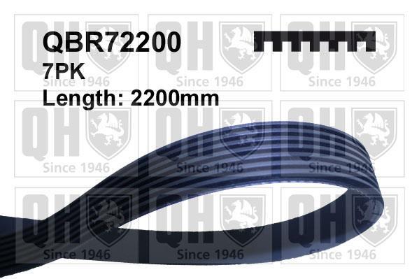 Courroie trapézoïdale à nervures QUINTON HAZELL QBR72200