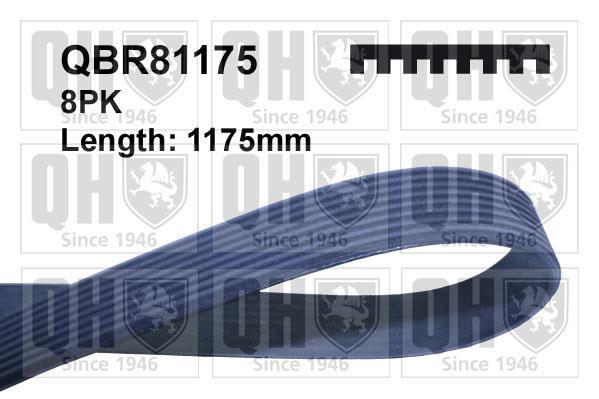 Correia trapezoidal estriada QUINTON HAZELL ref. QBR81175