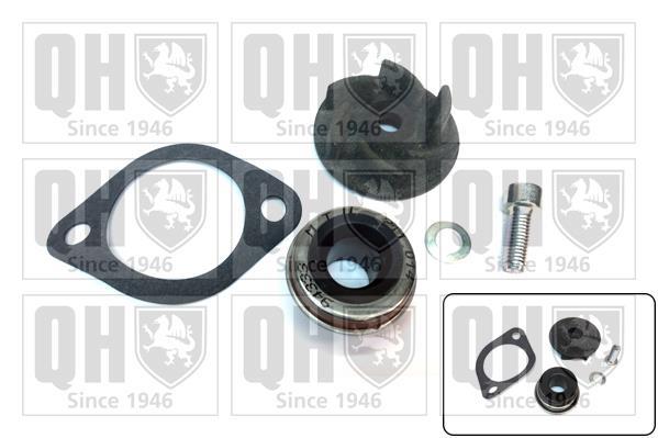 Quinton Hazell QCP3601 Pompa acqua