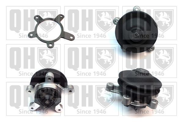 QFP819 QUINTON HAZELL Pot de stabilisation, pompe à carburant | AUTODOC
