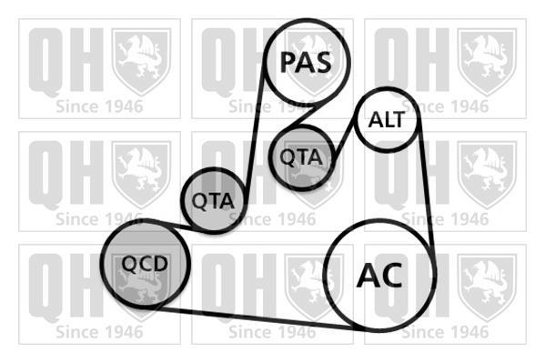 Kit de courroie d'accessoire QUINTON HAZELL ref. QDK106