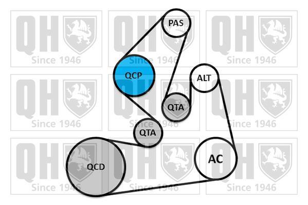 Kit de courroie d'accessoire (Courroie d’alternateur) QUINTON HAZELL ref. QDK165