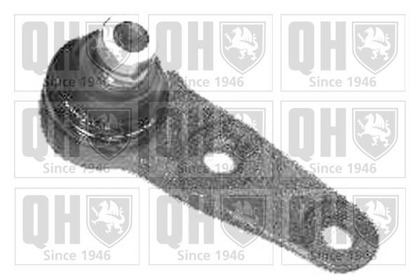 Rotule de suspension (Rotule de pivot) QUINTON HAZELL ref. QSJ1162S