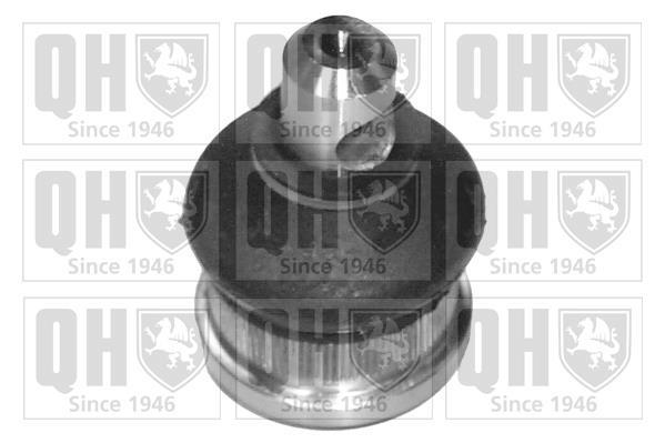 Rotule de suspension (Rotule de pivot) QUINTON HAZELL ref. QSJ1228S