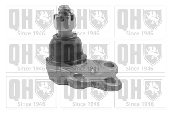 Rotule de suspension (Rotule de pivot) QUINTON HAZELL ref. QSJ3492S